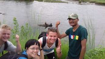 Jungle Wildlife Camp