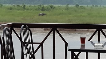 Jungle Wildlife Camp