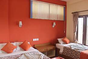 Jungle Wildlife Camp