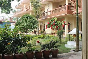 Jungle Wildlife Camp