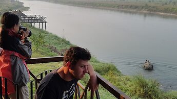 Jungle Wildlife Camp