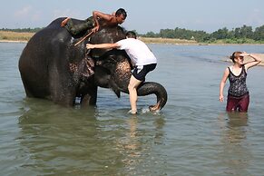 Jungle Wildlife Camp