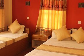 Jungle Wildlife Camp