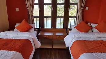 Jungle Wildlife Camp