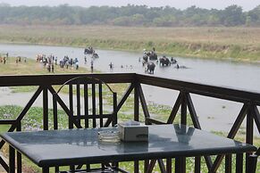 Jungle Wildlife Camp