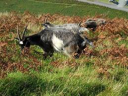 St Vincent Guest House