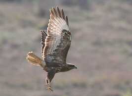 Guest House - To Archontiko