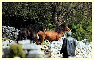 Guest House - To Archontiko