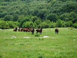 Guest House - To Archontiko