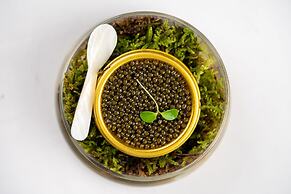 Gracie Art Hotel 798