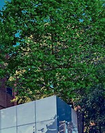 Gracie Art Hotel 798