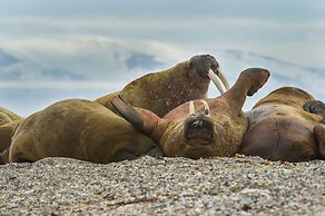 Svalbard Hotell - Polfareren