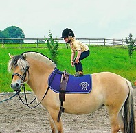 Golfhotel Kaiserin Elisabeth