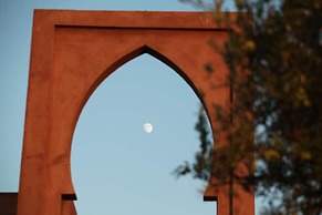 Les Jardins de Zyriab