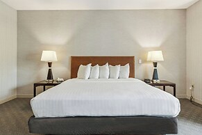 Hotel Warner