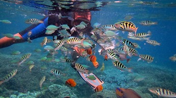 Tamarind Beach Bungalows