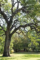 Blyde River Canyon Lodge