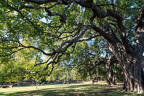 Blyde River Canyon Lodge