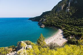 Olympos Orange
