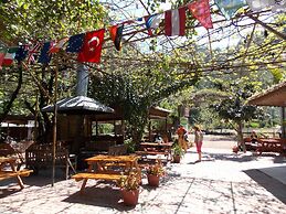 Olympos Orange