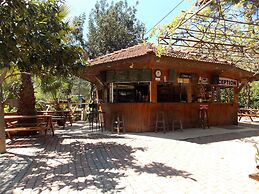 Olympos Orange