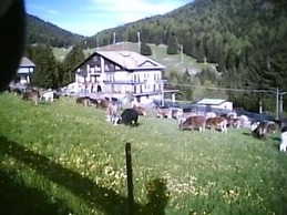 Des Alpes