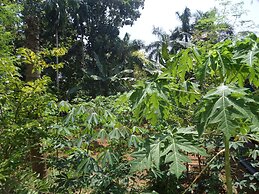 Illikkalam Lakeside Cottages