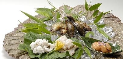 Ryokan Sumiya Kihoan