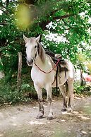 12 Months Luxury Resort