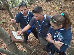 12 Months Luxury Resort