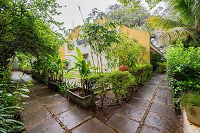 The Banyan Soul