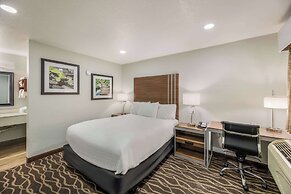 Rodeway Inn Carlsbad Caverns Area