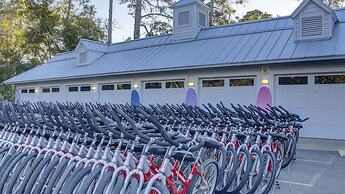 The Village At Palmetto Dunes