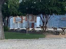 Gruene Homestead Inn