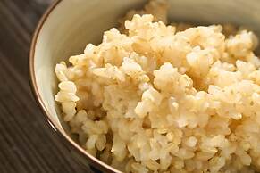 Sotetsu Fresa Inn Tokyo Kyobashi