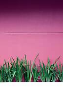 Amaris Hotel Cimanuk Bandung