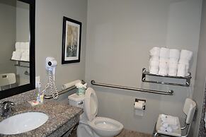 Comfort Suites at Katy Mills