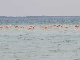 Hotel Puerto Holbox Beach Front