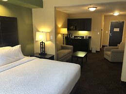 Holiday Inn Express Hotel & Suites Lansing-Dimondale by IHG