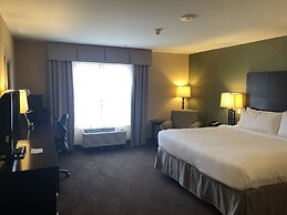 Holiday Inn Express Hotel & Suites Lansing-Dimondale by IHG
