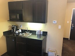 Holiday Inn Express Hotel & Suites Lansing-Dimondale by IHG