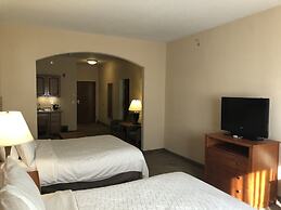 Holiday Inn Express Hotel & Suites Lansing-Dimondale by IHG