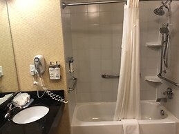 Holiday Inn Express Hotel & Suites Lansing-Dimondale by IHG
