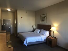 Holiday Inn Express Hotel & Suites Lansing-Dimondale by IHG
