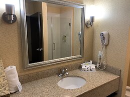 Holiday Inn Express Hotel & Suites Lansing-Dimondale by IHG