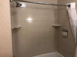 Holiday Inn Express Hotel & Suites Lansing-Dimondale by IHG