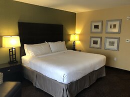 Holiday Inn Express Hotel & Suites Lansing-Dimondale by IHG