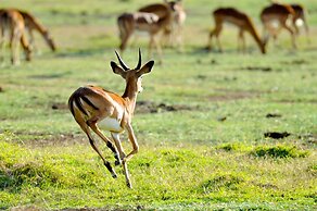Lake Elmenteita Serena Camp