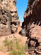 Bedouin Lifestyle Camp