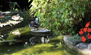 Casa Vela Boutique House